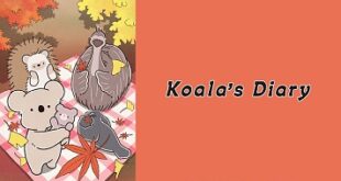 Koala’s Diary